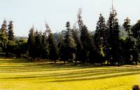 Botanischer Garten 5 